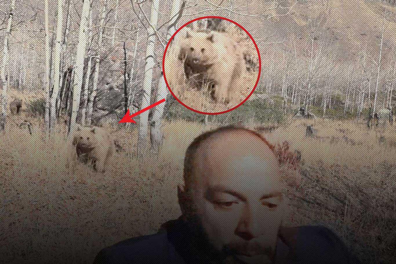 Muhabire ayı saldırısı kamerada